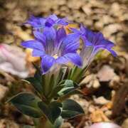 ヒメ日記 2025/05/06 05:36 投稿 神田 京香【人妻】 ROYAL STAR