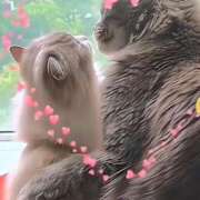 ヒメ日記 2025/05/08 23:21 投稿 神田 京香【人妻】 ROYAL STAR