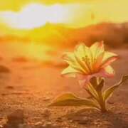 ヒメ日記 2025/05/11 17:03 投稿 神田 京香【人妻】 ROYAL STAR