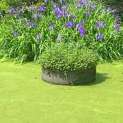 ヒメ日記 2025/05/14 14:20 投稿 神田 京香【人妻】 ROYAL STAR