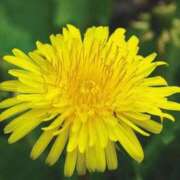 ヒメ日記 2025/05/14 14:13 投稿 神田 京香【人妻】 ROYAL STAR