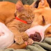 ヒメ日記 2025/05/28 00:49 投稿 神田 京香【人妻】 ROYAL STAR