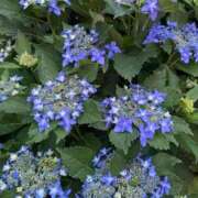 ヒメ日記 2025/05/28 23:42 投稿 神田 京香【人妻】 ROYAL STAR