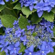 ヒメ日記 2025/06/02 09:16 投稿 神田 京香【人妻】 ROYAL STAR