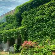 ヒメ日記 2025/06/06 16:40 投稿 神田 京香【人妻】 ROYAL STAR