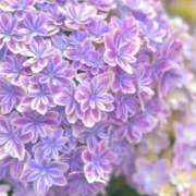 ヒメ日記 2025/06/06 22:02 投稿 神田 京香【人妻】 ROYAL STAR