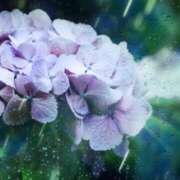 ヒメ日記 2025/06/08 17:38 投稿 神田 京香【人妻】 ROYAL STAR