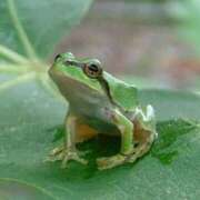 ヒメ日記 2025/06/10 05:25 投稿 神田 京香【人妻】 ROYAL STAR