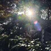 ヒメ日記 2025/06/15 08:19 投稿 神田 京香【人妻】 ROYAL STAR