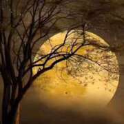 ヒメ日記 2025/06/18 23:59 投稿 神田 京香【人妻】 ROYAL STAR