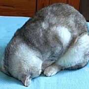 ヒメ日記 2025/06/19 23:48 投稿 神田 京香【人妻】 ROYAL STAR