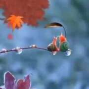 ヒメ日記 2025/06/24 05:04 投稿 神田 京香【人妻】 ROYAL STAR