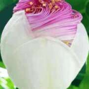 ヒメ日記 2025/06/27 23:19 投稿 神田 京香【人妻】 ROYAL STAR