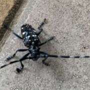 ヒメ日記 2025/07/01 12:14 投稿 神田 京香【人妻】 ROYAL STAR