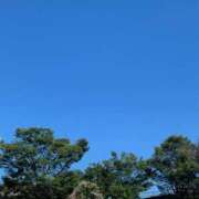 ヒメ日記 2025/07/24 09:44 投稿 神田 京香【人妻】 ROYAL STAR