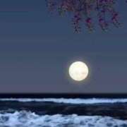 ヒメ日記 2025/07/26 22:46 投稿 神田 京香【人妻】 ROYAL STAR