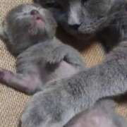 ヒメ日記 2025/07/27 23:33 投稿 神田 京香【人妻】 ROYAL STAR