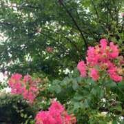 ヒメ日記 2025/08/07 22:28 投稿 神田 京香【人妻】 ROYAL STAR