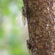 ヒメ日記 2025/08/14 15:24 投稿 神田 京香【人妻】 ROYAL STAR