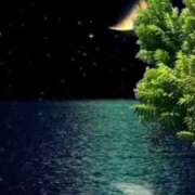 ヒメ日記 2025/08/19 23:47 投稿 神田 京香【人妻】 ROYAL STAR