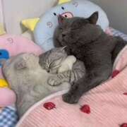 ヒメ日記 2025/08/24 22:46 投稿 神田 京香【人妻】 ROYAL STAR