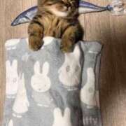 ヒメ日記 2025/09/02 23:39 投稿 神田 京香【人妻】 ROYAL STAR