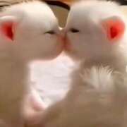 ヒメ日記 2025/09/04 22:41 投稿 神田 京香【人妻】 ROYAL STAR