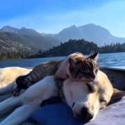 ヒメ日記 2025/09/11 23:39 投稿 神田 京香【人妻】 ROYAL STAR