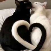 ヒメ日記 2025/09/16 23:57 投稿 神田 京香【人妻】 ROYAL STAR