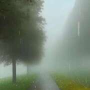 ヒメ日記 2025/09/17 19:40 投稿 神田 京香【人妻】 ROYAL STAR