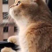 ヒメ日記 2025/09/21 19:31 投稿 神田 京香【人妻】 ROYAL STAR