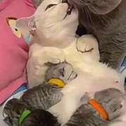 ヒメ日記 2025/09/21 23:49 投稿 神田 京香【人妻】 ROYAL STAR