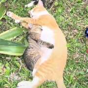 ヒメ日記 2025/09/25 22:03 投稿 神田 京香【人妻】 ROYAL STAR