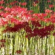 ヒメ日記 2025/09/28 19:34 投稿 神田 京香【人妻】 ROYAL STAR