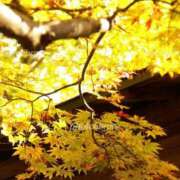 ヒメ日記 2025/09/30 07:23 投稿 神田 京香【人妻】 ROYAL STAR