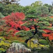 ヒメ日記 2025/09/30 16:51 投稿 神田 京香【人妻】 ROYAL STAR