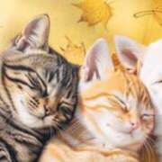 ヒメ日記 2025/10/22 23:34 投稿 神田 京香【人妻】 ROYAL STAR