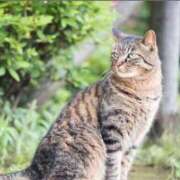 ヒメ日記 2025/10/28 23:22 投稿 神田 京香【人妻】 ROYAL STAR