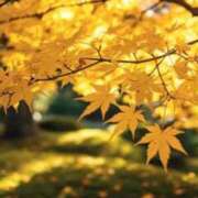 ヒメ日記 2025/10/31 17:40 投稿 神田 京香【人妻】 ROYAL STAR