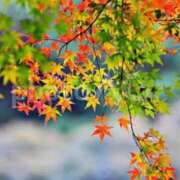 ヒメ日記 2025/11/01 08:45 投稿 神田 京香【人妻】 ROYAL STAR