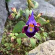 ヒメ日記 2025/11/07 11:27 投稿 神田 京香【人妻】 ROYAL STAR