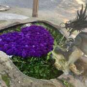 ヒメ日記 2025/11/10 07:23 投稿 神田 京香【人妻】 ROYAL STAR