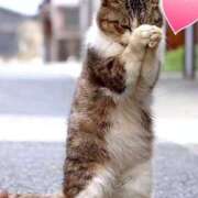 ヒメ日記 2025/11/18 11:16 投稿 神田 京香【人妻】 ROYAL STAR