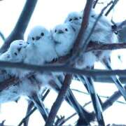 ヒメ日記 2025/11/18 17:44 投稿 神田 京香【人妻】 ROYAL STAR