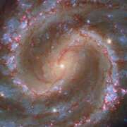 ヒメ日記 2025/11/20 22:57 投稿 神田 京香【人妻】 ROYAL STAR