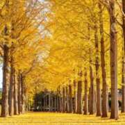 ヒメ日記 2025/11/22 15:23 投稿 神田 京香【人妻】 ROYAL STAR