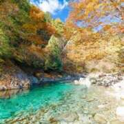 ヒメ日記 2025/11/23 11:27 投稿 神田 京香【人妻】 ROYAL STAR