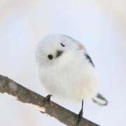 ヒメ日記 2025/11/26 10:55 投稿 神田 京香【人妻】 ROYAL STAR