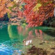 ヒメ日記 2025/11/26 12:27 投稿 神田 京香【人妻】 ROYAL STAR