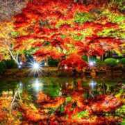 ヒメ日記 2025/11/26 23:17 投稿 神田 京香【人妻】 ROYAL STAR